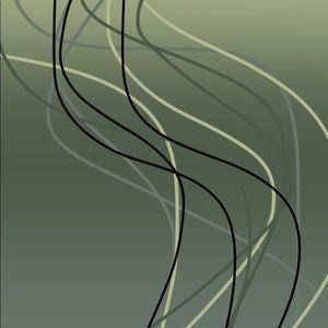 Meet your Posher, Havannah